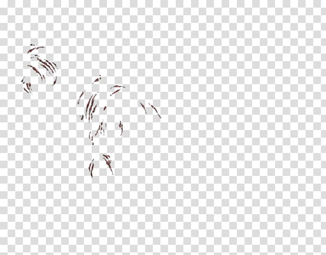 Lion Feather Beak Desktop Computer, lion transparent background PNG clipart