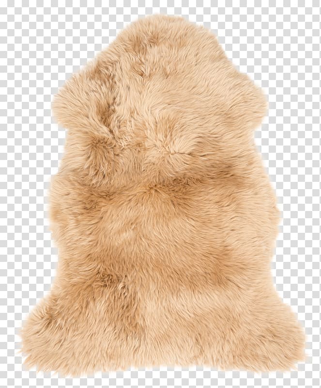 Fur Sheepskin Brown Scandinavia Umber, chaff transparent background PNG clipart