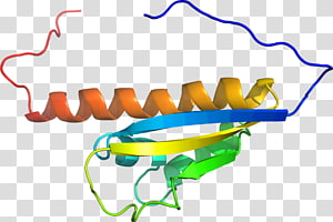 Line , design transparent background PNG clipart thumbnail