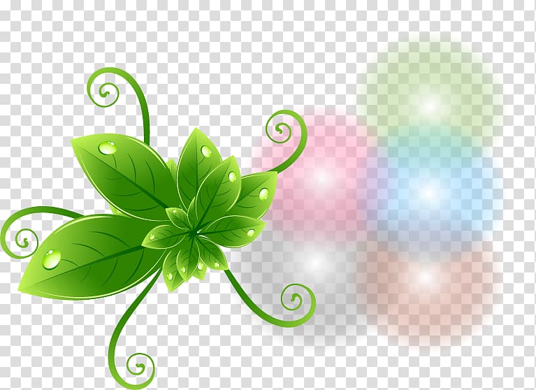 Leaf, Beautifully green theme label material transparent background PNG clipart