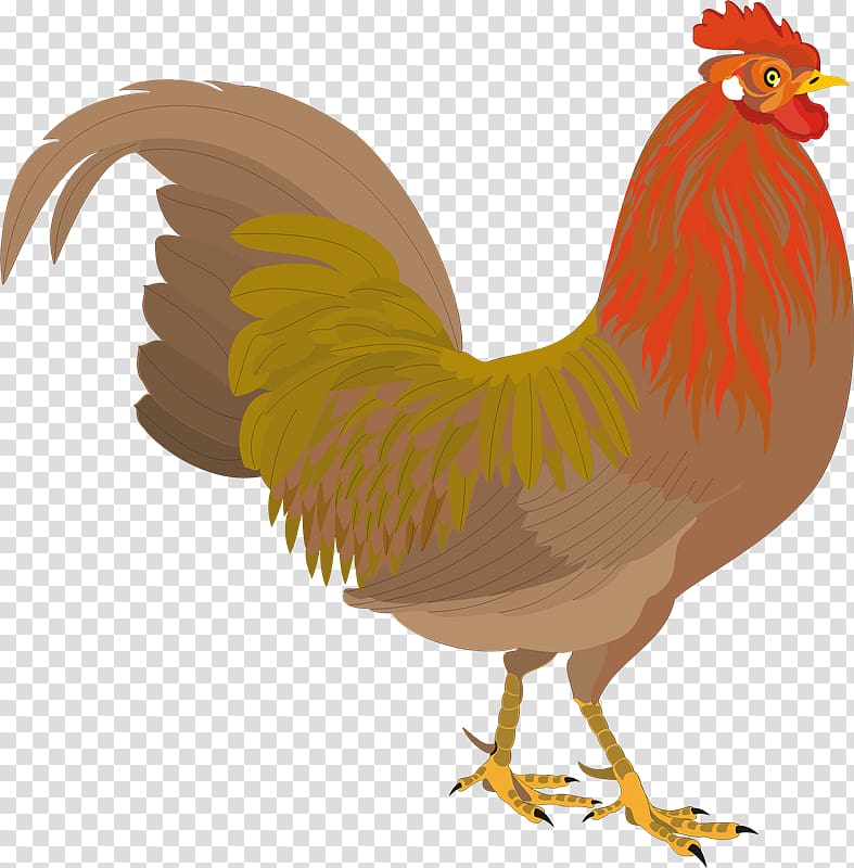 Chicken Rooster Paper , Zr transparent background PNG clipart