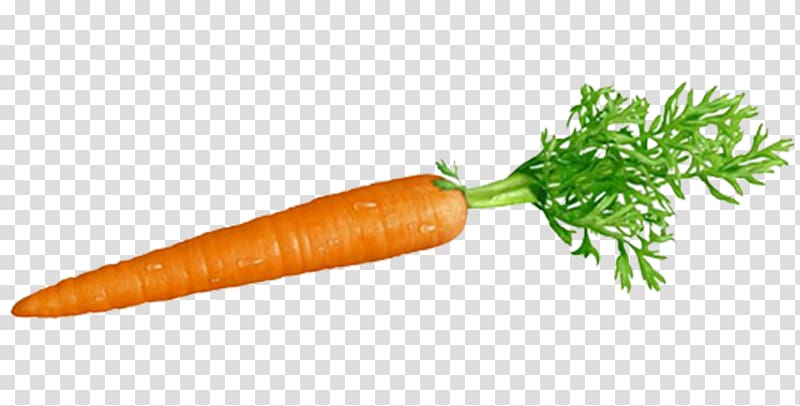 Carrot and stick Root Vegetables Ingredient, beet transparent background PNG clipart