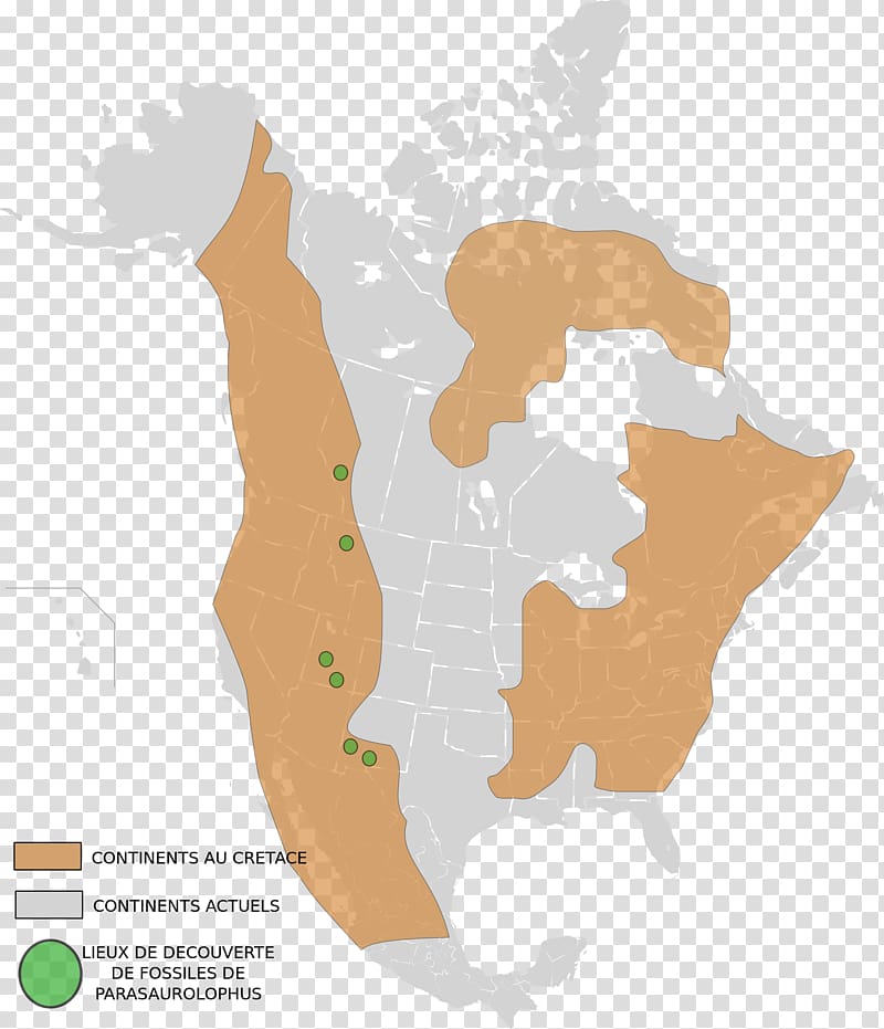 Central U.S. hardwood forests United States Bottomland hardwood forest Northern hardwood forest Southern Great Lakes forests, fossil transparent background PNG clipart