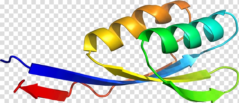 Organism , Acetolactate Synthase transparent background PNG clipart