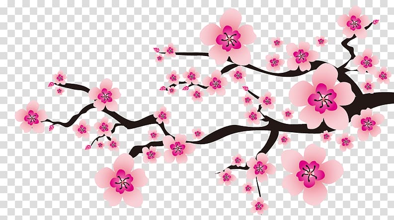 Sakura flowers , Flower Plum blossom, Cherry blossoms transparent background PNG clipart