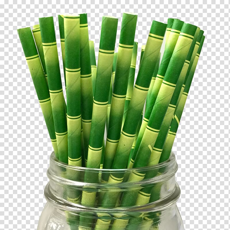 Bamboo transparent background PNG clipart