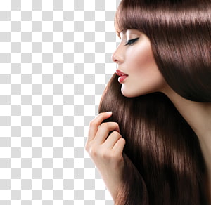 Hair transparent background PNG cliparts free download | HiClipart
