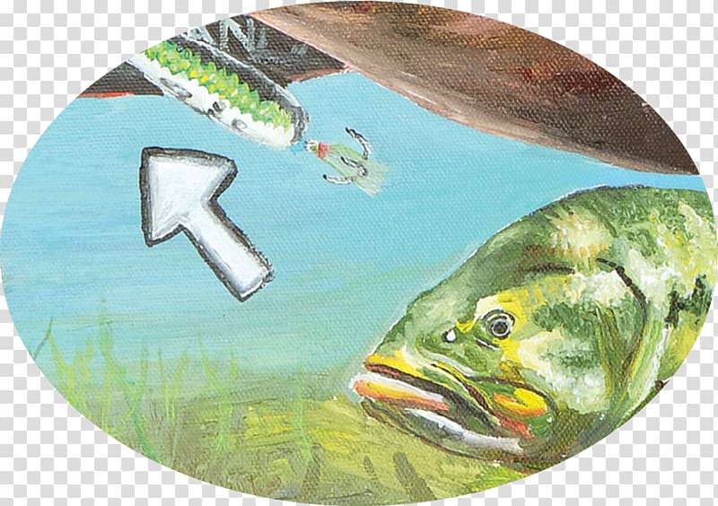 Fishing Baits & Lures Bait fish Bassmaster Classic, bass transparent background PNG clipart