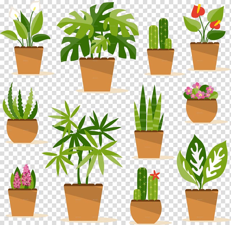 Houseplant Flowerpot , potted plant transparent background PNG clipart