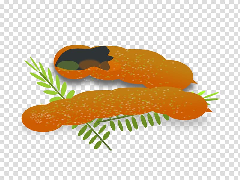 Tamarind Fruit , tamarindo transparent background PNG clipart