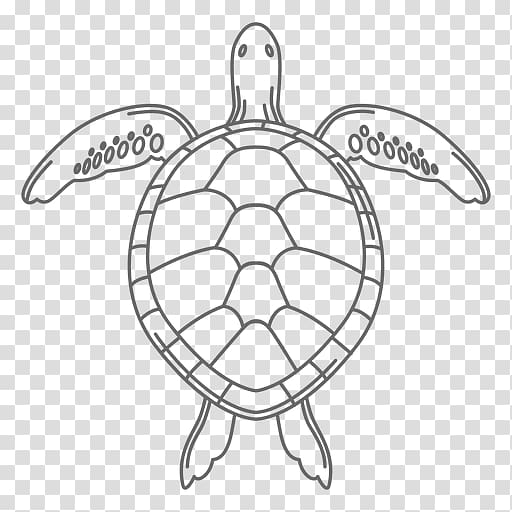 Green sea turtle Reptile Drawing, tortoide transparent background PNG clipart