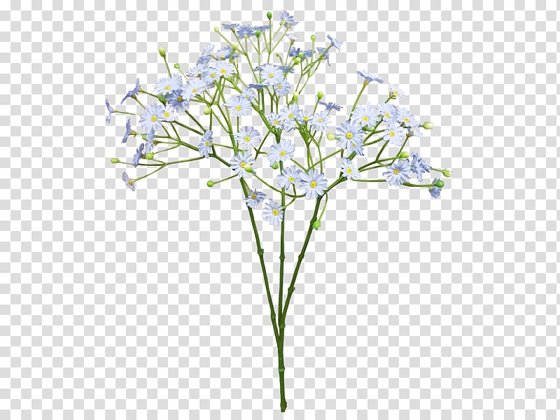 white petaled flowers illustration, Cut flowers Baby\'s-breath Blue Flower bouquet, baby breath transparent background PNG clipart