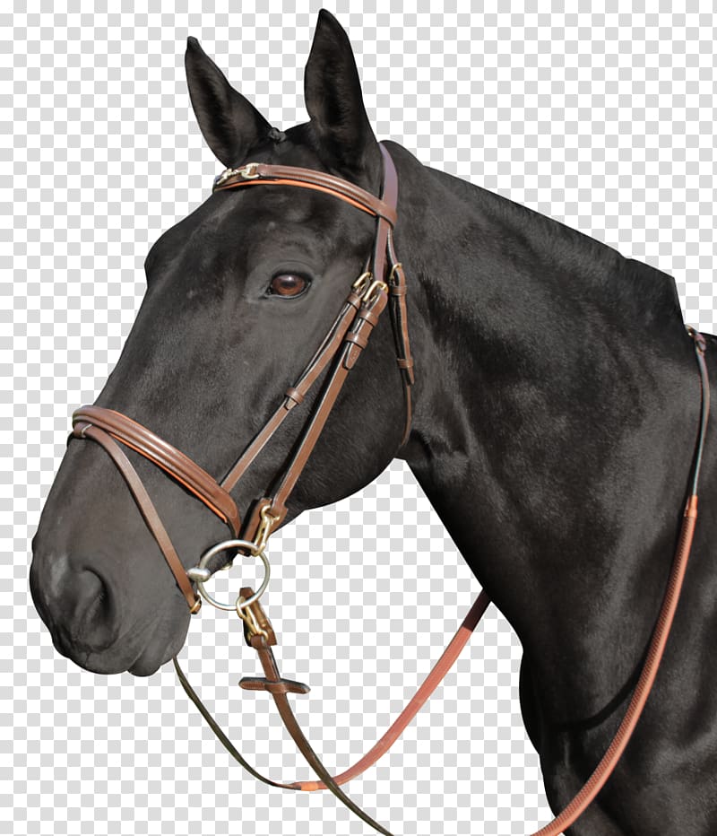 Halter Bridle Bit Filet Noseband, bridle transparent background PNG clipart