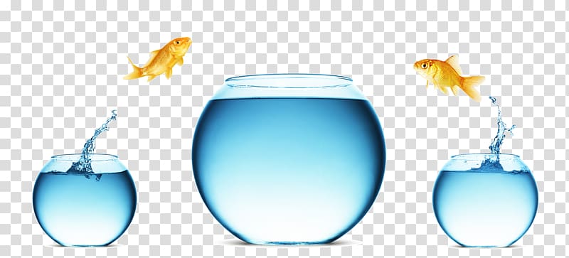 two orange goldfishes , Mergers and acquisitions Microsoft PowerPoint Presentation slide Diagram, Jumping fish tank transparent background PNG clipart