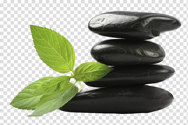 Rock Pebble Leaf Stone massage , A green life pushed on a black stone transparent background PNG clipart