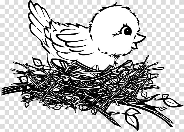 Bird nest Bird nest Drawing , Nest transparent background PNG clipart