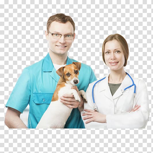 pet doctors and dogs transparent background PNG clipart