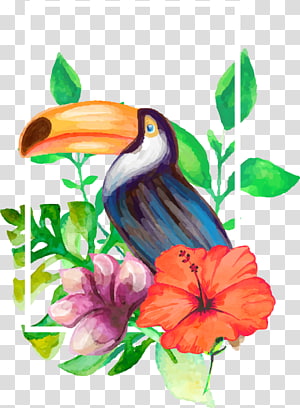 Drawing Watercolor painting, Drawing realistic aesthetic decorative flowers and parrot transparent background PNG clipart thumbnail