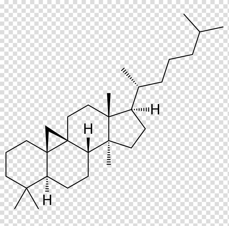 Cycloastragenol Hopane Chemical compound Science Molecule, cholesterol transparent background PNG clipart