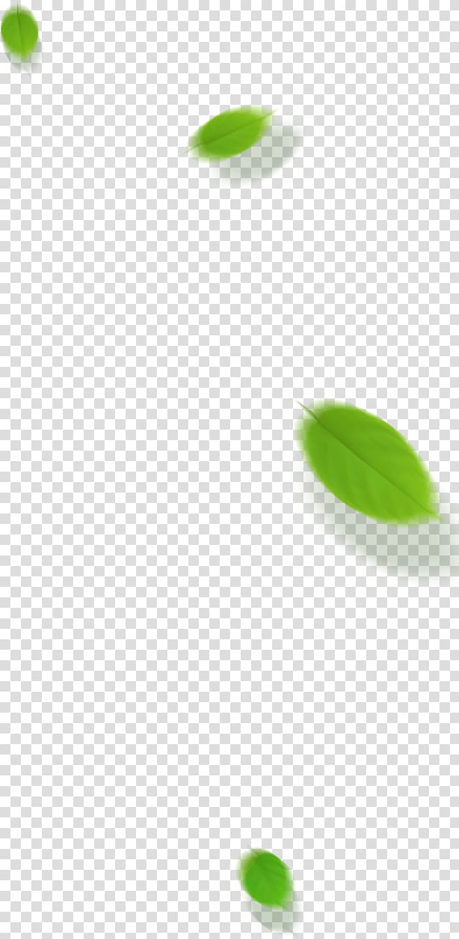 floating leaves transparent background PNG clipart
