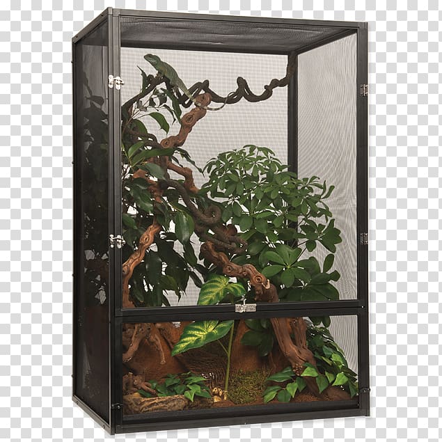 Reptile Chameleons Vivarium Mesh Cage, Terrarium transparent background PNG clipart