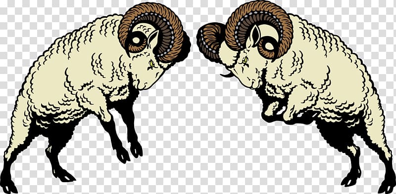 Sheep Ram fighting , the year of the sheep transparent background PNG clipart