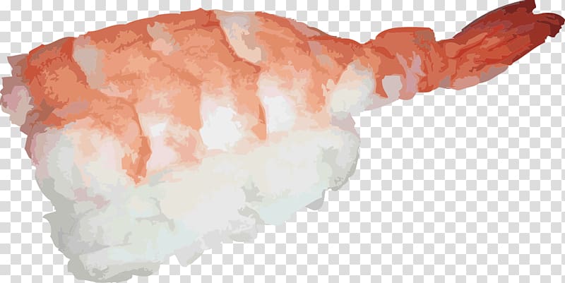Japanese Cuisine Sushi Sashimi Raw foodism , Japanese shrimp sushi transparent background PNG clipart