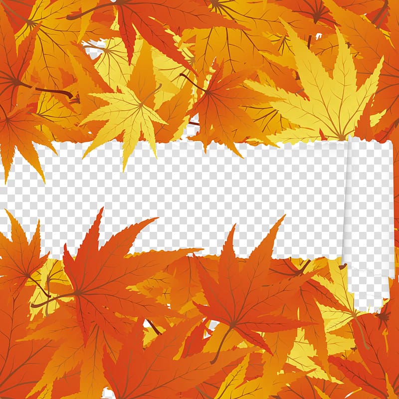 Japanese maple Maple leaf Autumn, Autumn Maple Leaf transparent background PNG clipart