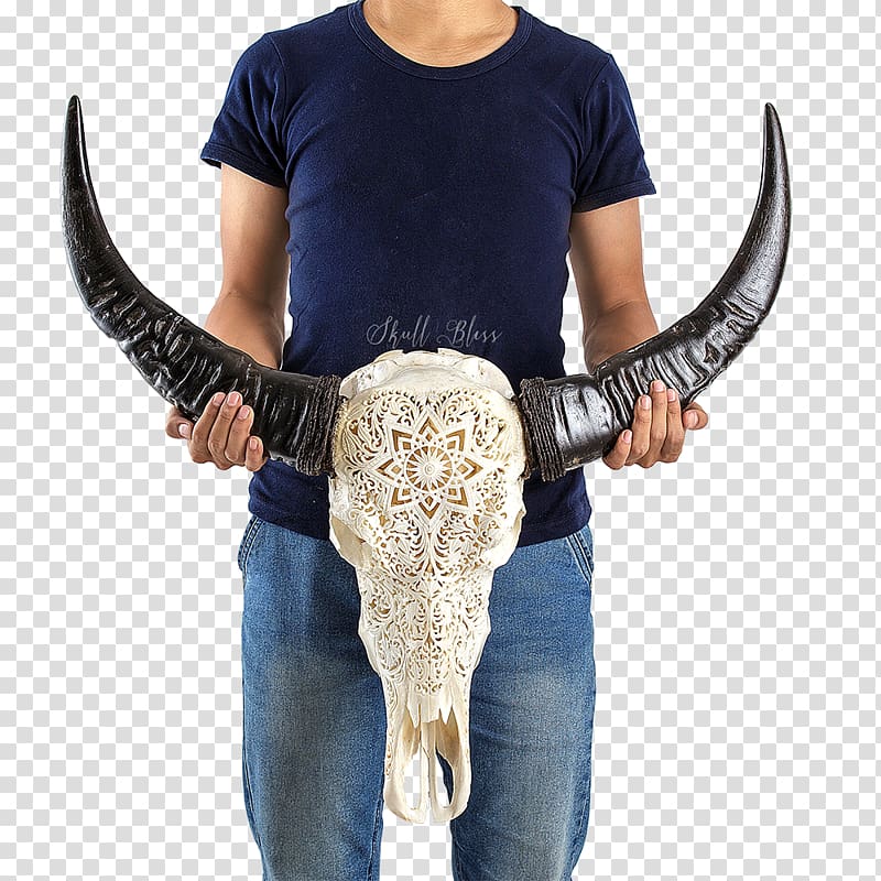 Horn Mandala The World Within Our Minds Skull Cattle, buffalo skull transparent background PNG clipart