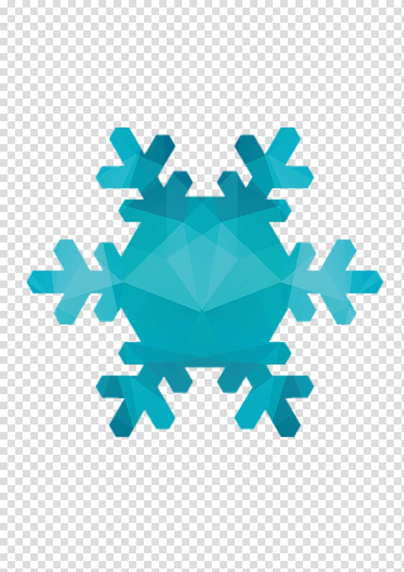 Snowflake illustration Icon, snowflake,petal,Polygon snowflake petals transparent background PNG clipart