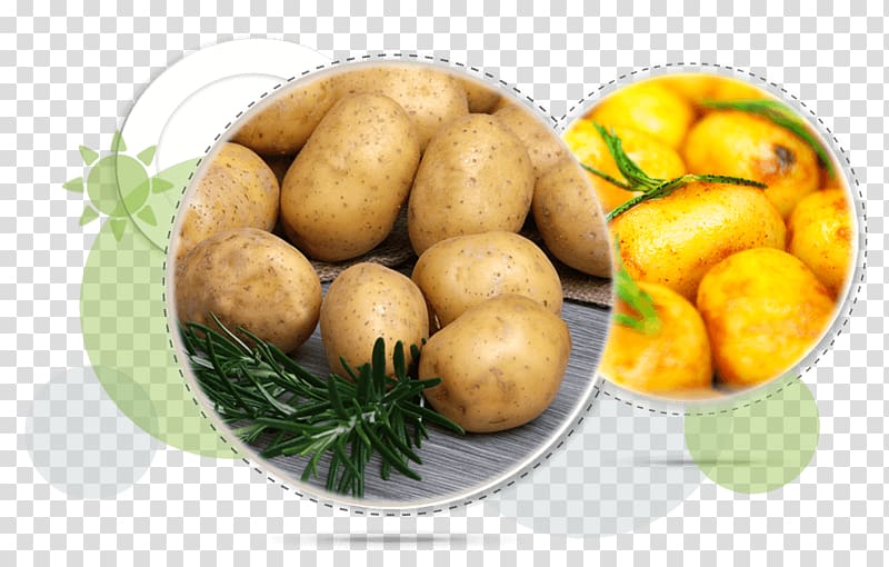 Yukon Gold potato Nutrient Weight loss Eating Vegetarian cuisine, go foods transparent background PNG clipart