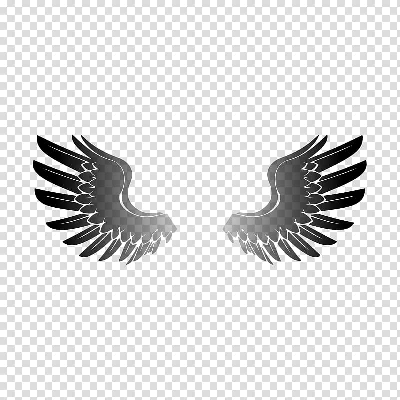 Red-tailed hawk Drawing , winged eagle insignia transparent background PNG clipart