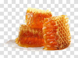 Honey bee Maya Honey bee Honeycomb, honey transparent background PNG clipart Honey bee Maya Honey bee Honeycomb, honey transparent background PNG clipart thumbnail