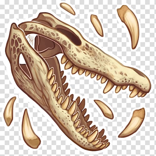 Fish Jaw Food Cat Reptile, fish transparent background PNG clipart