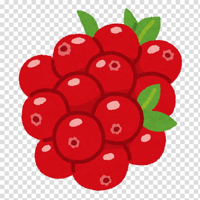 Lingonberry Cranberry いらすとや Tomoni, cranberry fruit transparent background PNG clipart