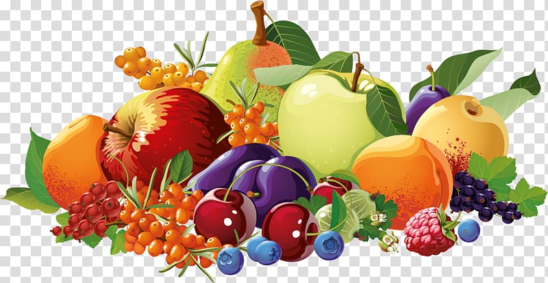 Vegetarian cuisine Berry Fruit Food Drawing, fruit and vegetable border transparent background PNG clipart