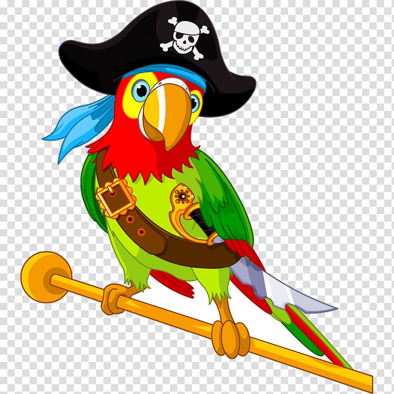 Pirate Parrot , parrot transparent background PNG clipart