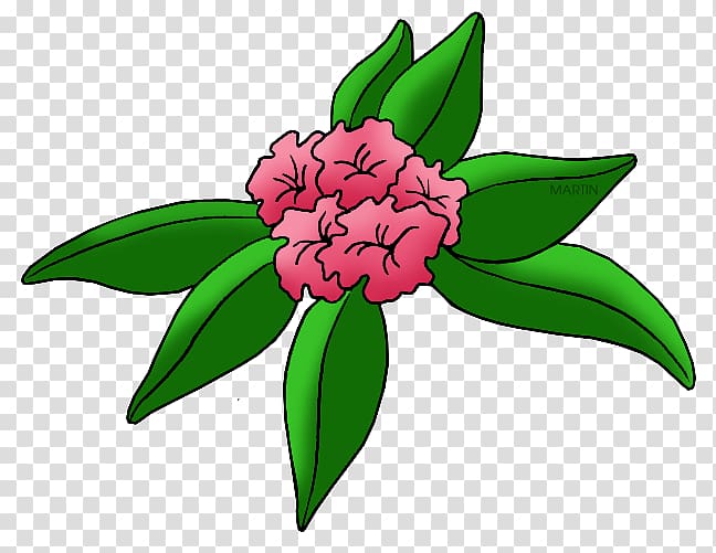 Washington West Virginia Rhododendron , flower transparent background PNG clipart