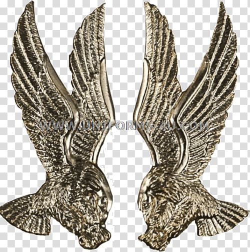 Eagle Jewellery, military aircraft transparent background PNG clipart