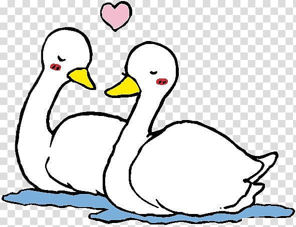 Cygnini Mandarin duck Cartoon, White Swan transparent background PNG clipart