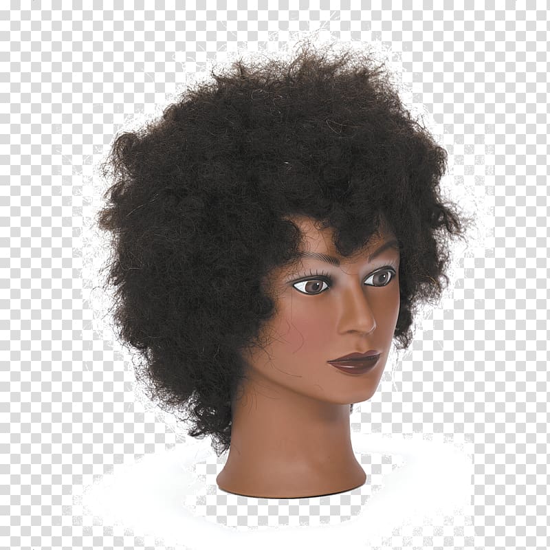 Afro Black hair Mannequin Wig, afro transparent background PNG clipart