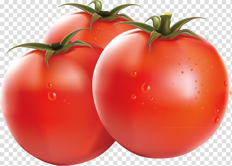 Cherry tomato Vegetable Tomato sauce, Healthy food freckle transparent background PNG clipart