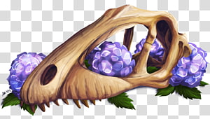 Floral design, design transparent background PNG clipart thumbnail