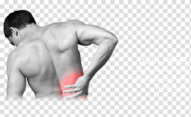 Back pain Spinal disc herniation Abdominal tenderness Rib Vertebral column, back pain transparent background PNG clipart