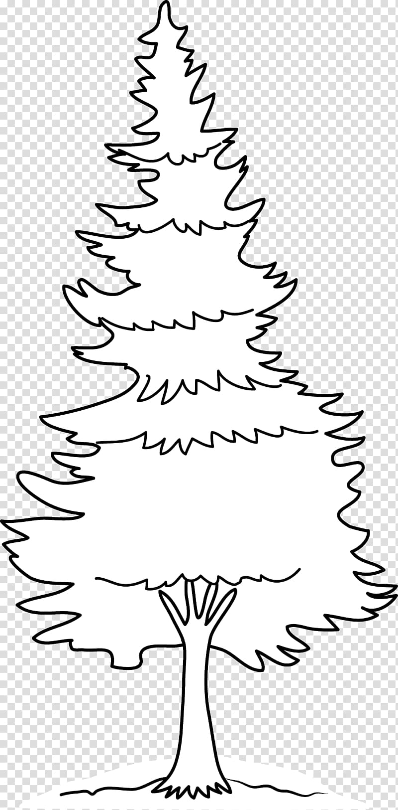 Eastern white pine Drawing , fir-tree transparent background PNG clipart