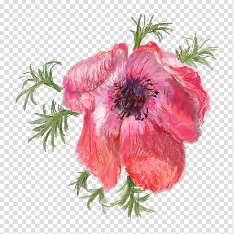 Opium poppy Flower Red, Pomegranate safflower transparent background PNG clipart