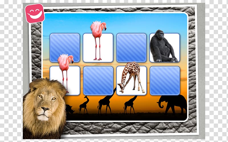 God\'s Mirror Leader\'s Edition Fauna of Africa Zoo Frames, Africa transparent background PNG clipart