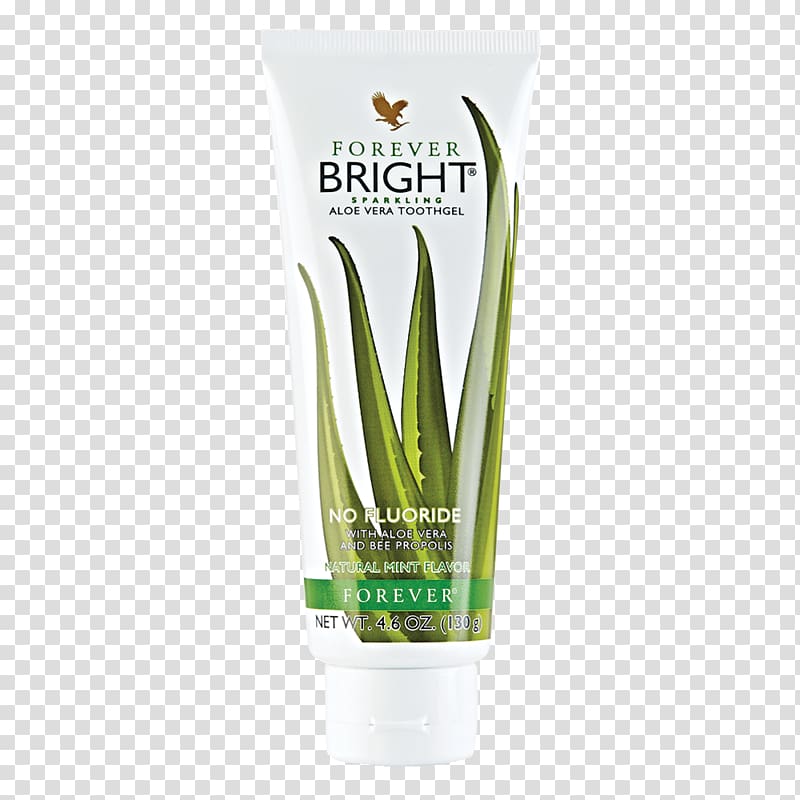 Aloe vera Forever Living Products Gel Lotion Tooth, aloe vera botanical illustration transparent background PNG clipart