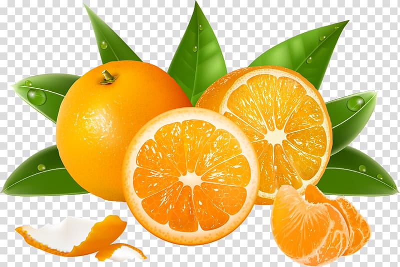 Juice Malta Orange Fruit Hindi, Oranges pattern transparent background PNG clipart