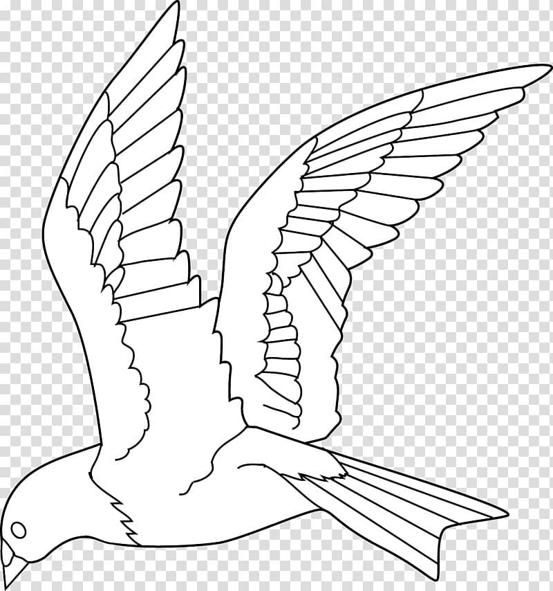 Bird Drawing Parrot Flight , flock of birds transparent background PNG clipart